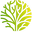 OH RAW! Seamoss Gummies logo