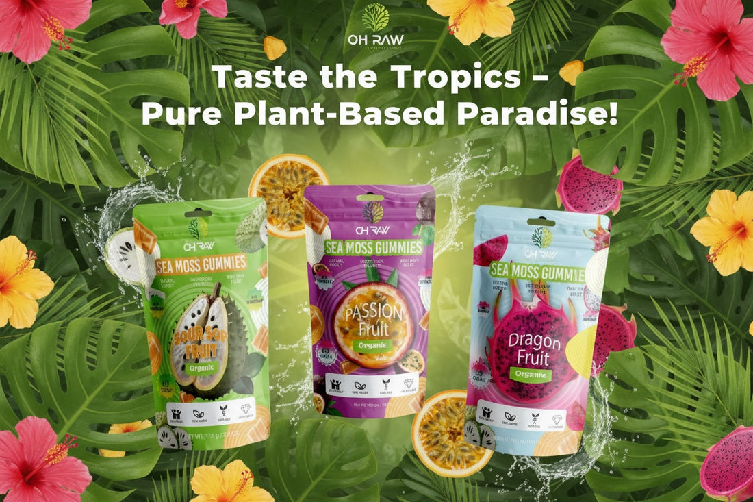 Bundle Up for Wellness— Taste All 3, Save Big!